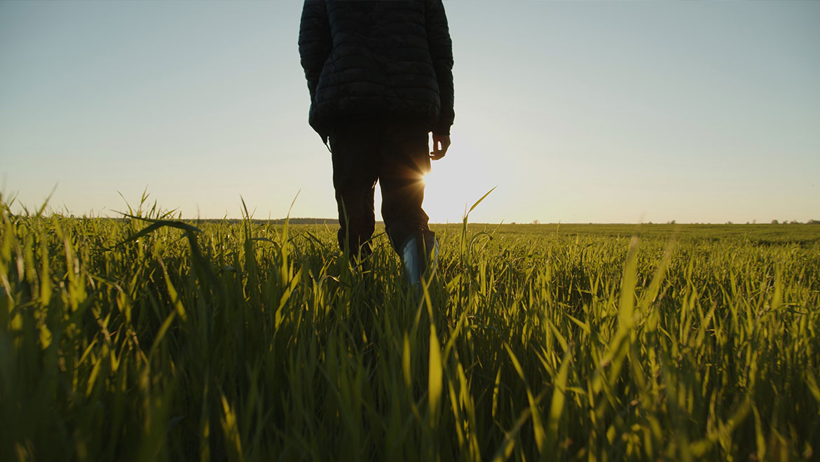 The Downward-Moving Way of Jesus - Henri Nouwen